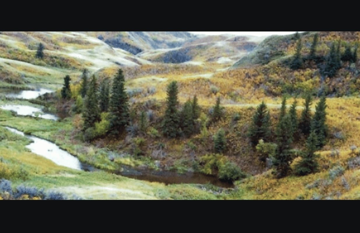 Home Coulee Resilience Fund